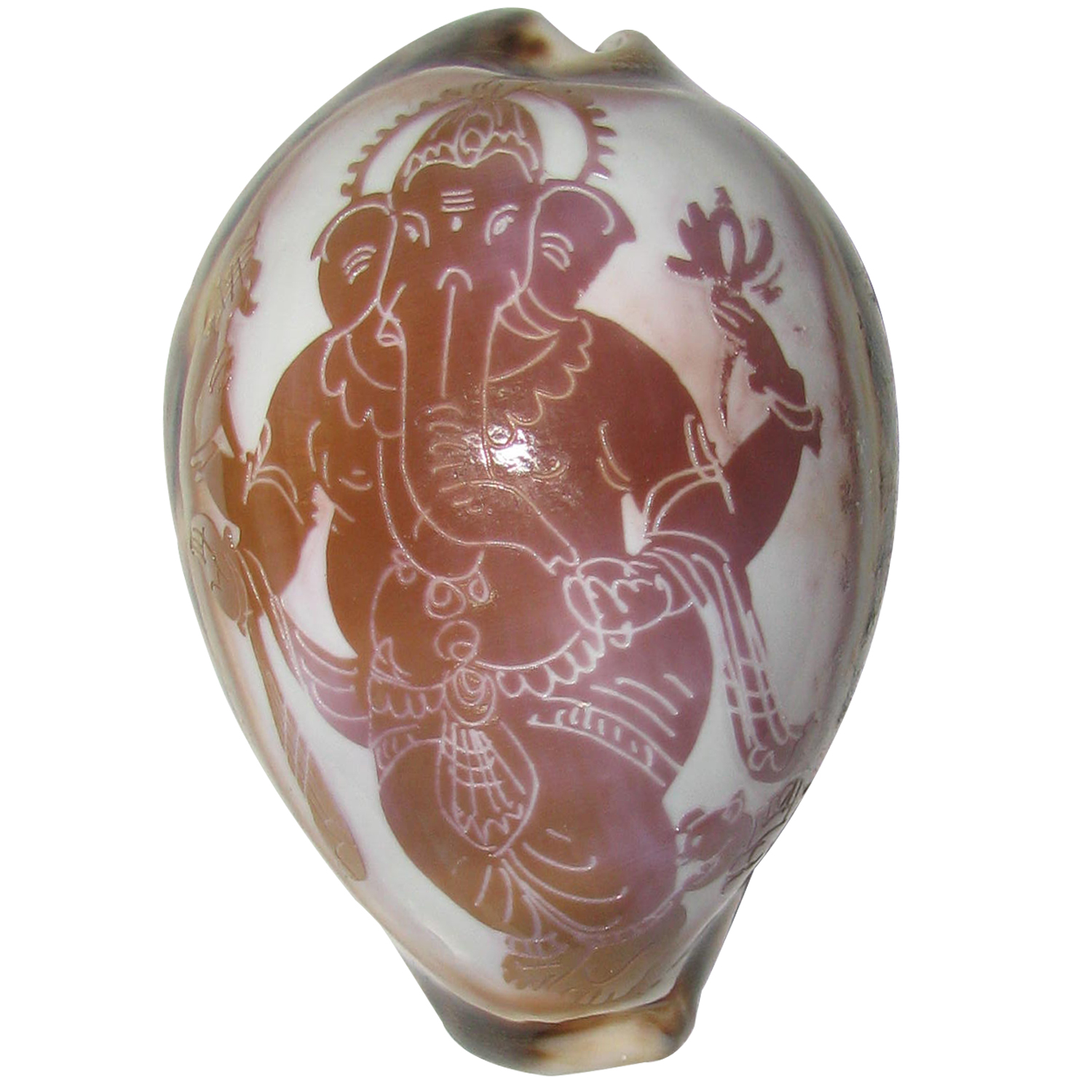 Aadhyathmik Ganapathi Ganesha Vinayagar Art on Cowrie Kawdi Kaudi Kowdi Sea Shell - A1085