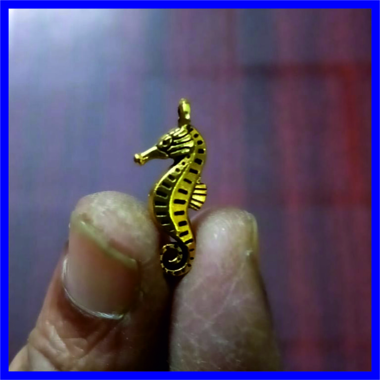 MMP0004 – Aadhyathmik Energised Ashwa Meen Multi Metal Pendant 0.5inch 1gram